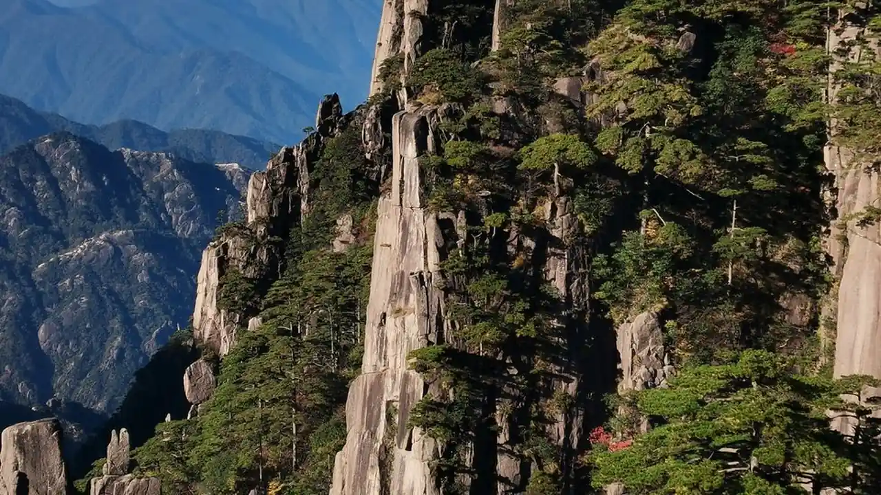 在线影视平台中蘑菇影院的使用场景与功能特点
