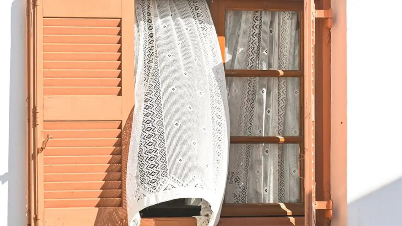 蔡任秋头像