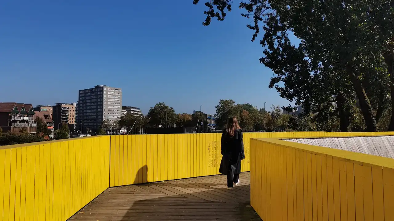 小马拉大马姐姐吃童子鸡在线看免费高清怎么找