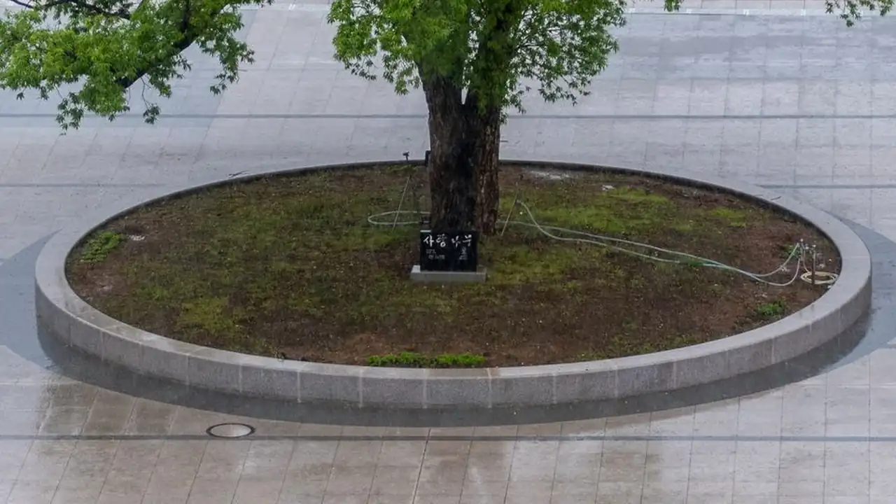 李仪琳头像
