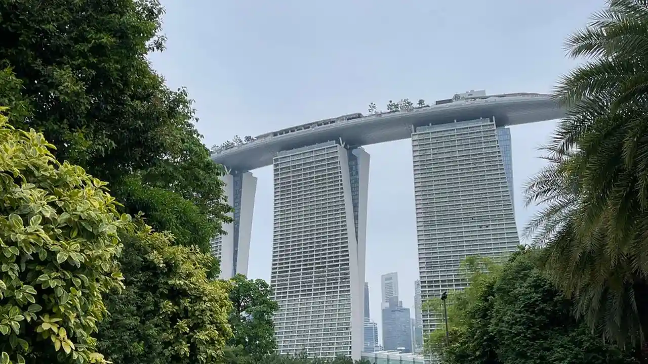 许惠俊头像